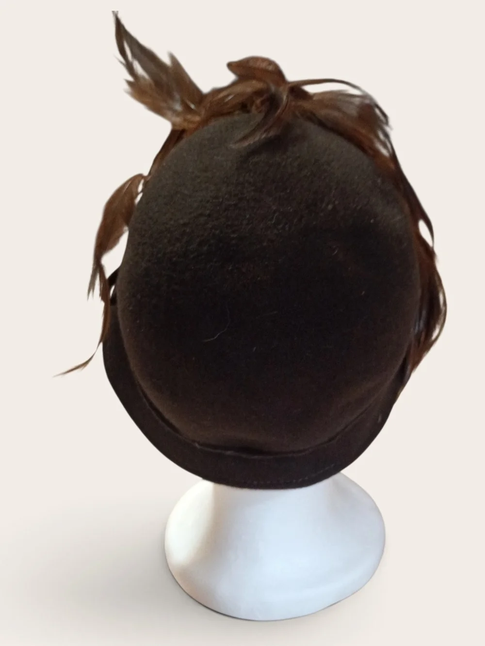glenover stylish brown